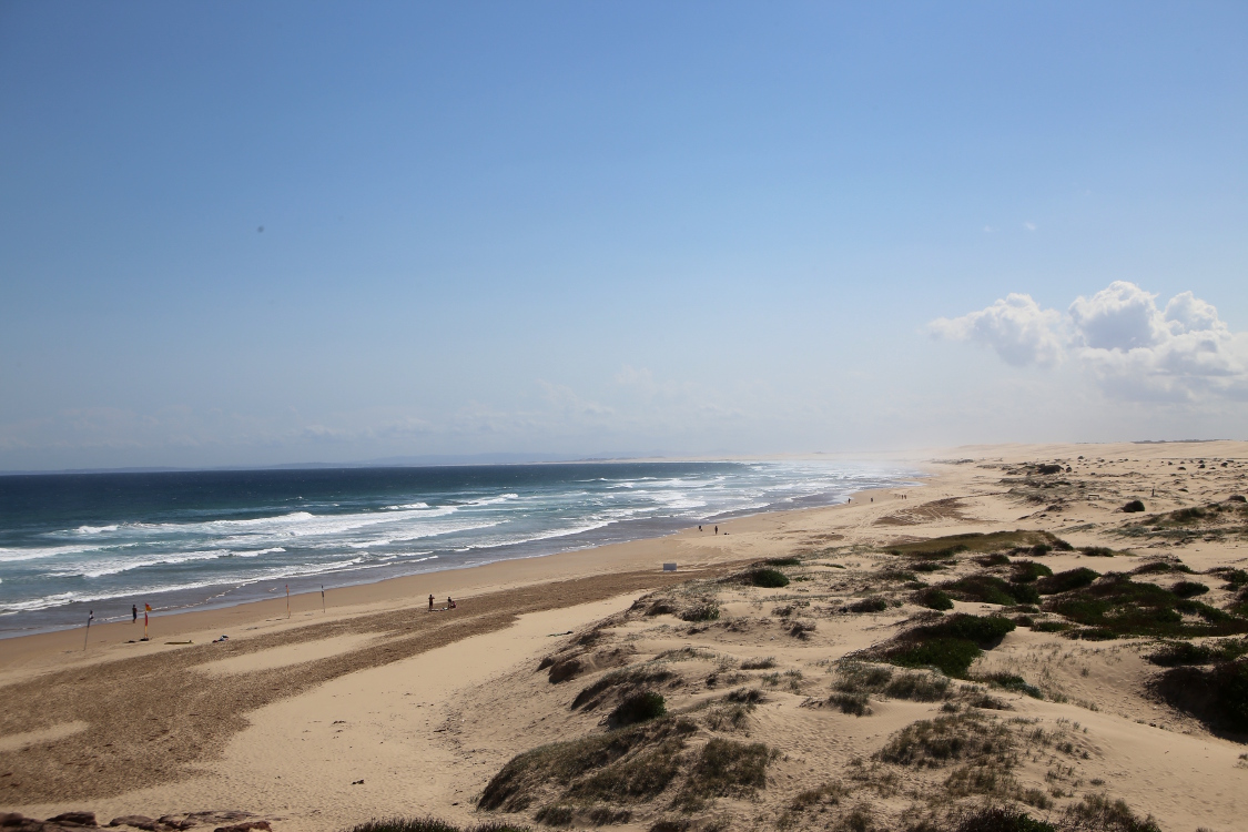 Port Stephens.
Les Worimi Conservation Lands sont des dunes mouvantes sur plus de 35km.
