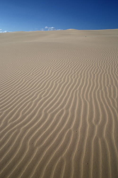 Port Stephens.
Worimi Conservation Lands.
