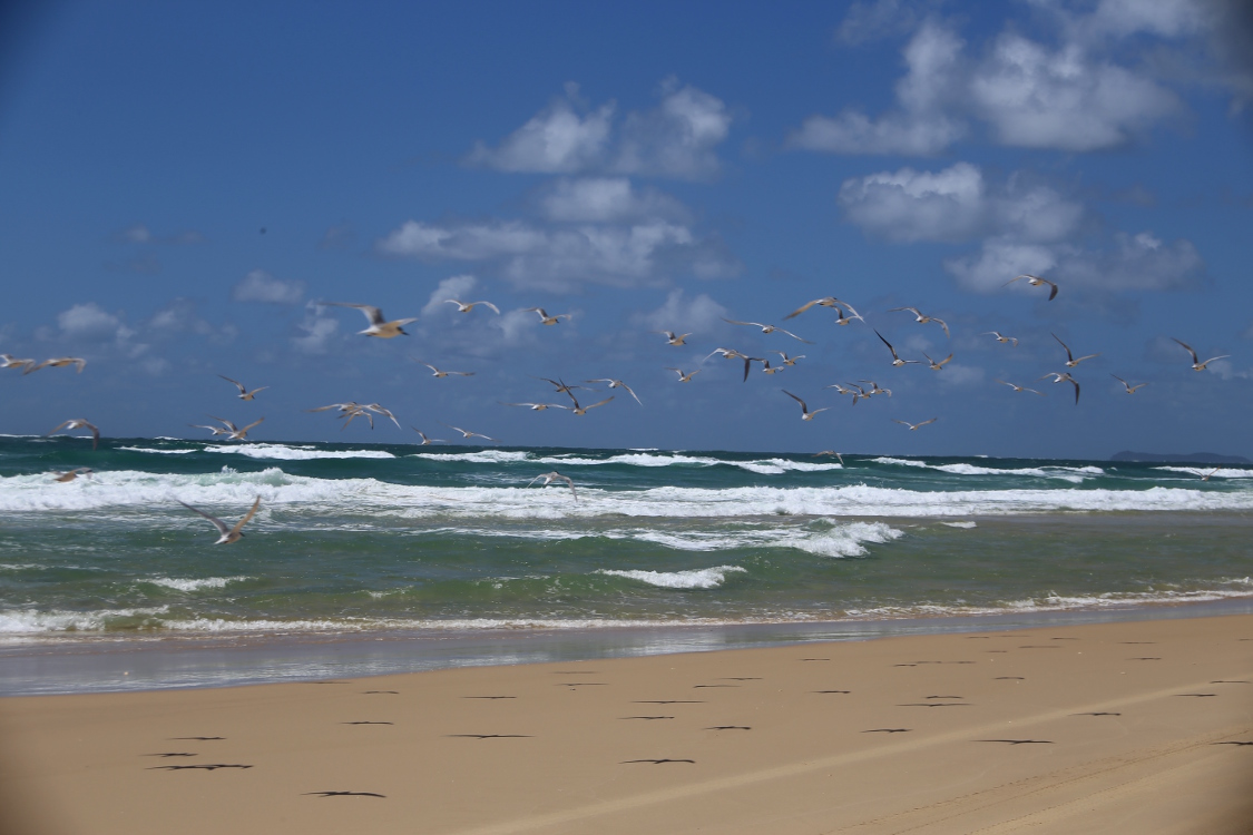 Fraser Island.