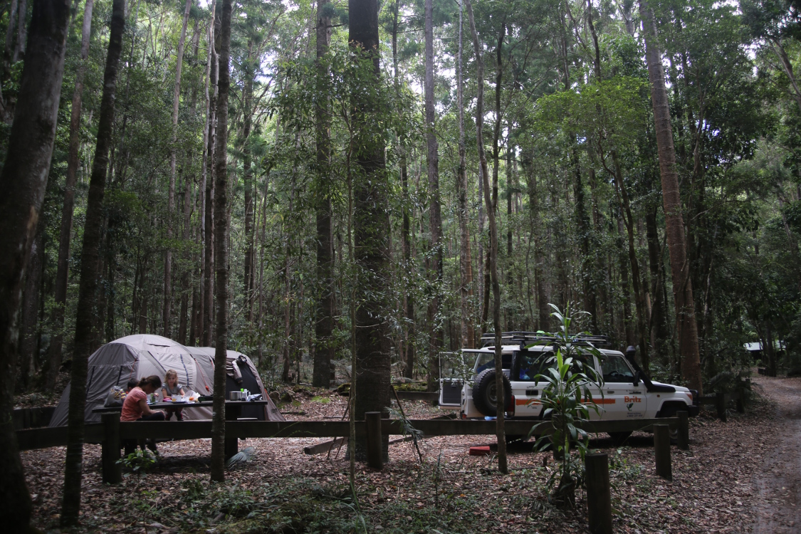 Fraser Island.
On a dormi au centre de l'Ã®le, au milieu de la forÃªt. D'ailleurs, il parait que c'est l'unique endroit au monde oÃ¹ la forÃªt humide pousse sur du sable.