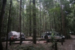 Fraser Island.
On a dormi au centre de l'île, au milieu de la forêt. D'ailleurs, il parait que c'est l'unique endroit au monde où la forêt humide pousse sur du sable.