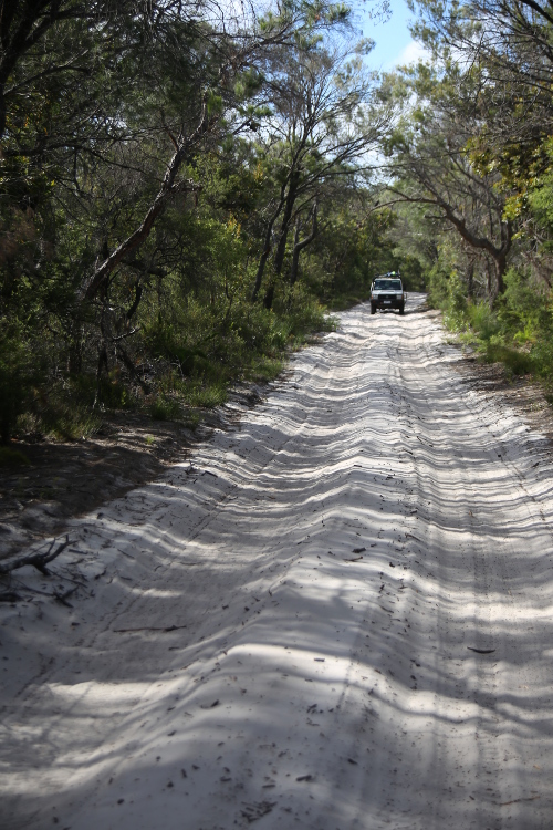 Fraser Island.
Toutes les pistes de l'Ã®le sont de vrais bacs de sable, et mieux vaut Ãªtre bien Ã©quipÃ© en 4x4. En tout cas, Sylvain s'est bien amusÃ© !