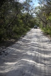 Fraser Island.
Toutes les pistes de l'île sont de vrais bacs de sable, et mieux vaut être bien équipé en 4x4. En tout cas, Sylvain s'est bien amusé !