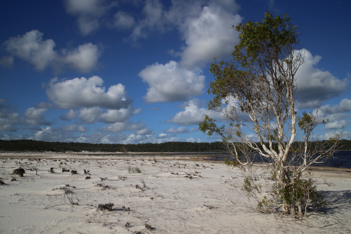 Fraser Island.
