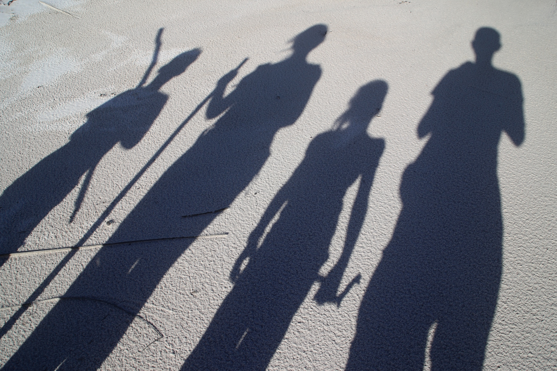 Fraser Island.
Non, ce ne sont pas des bÃ¢tons de pÃ¨lerins, mais des bÃ¢tons de protection !