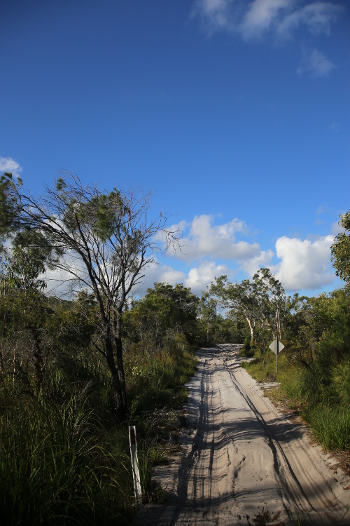 Fraser Island.