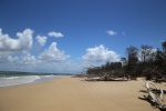 Fraser Island.