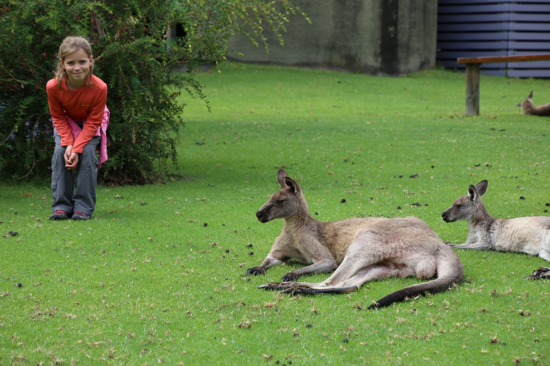 Durras.
Et aprÃ¨s un bon repas, c'est parti pour la sieste !