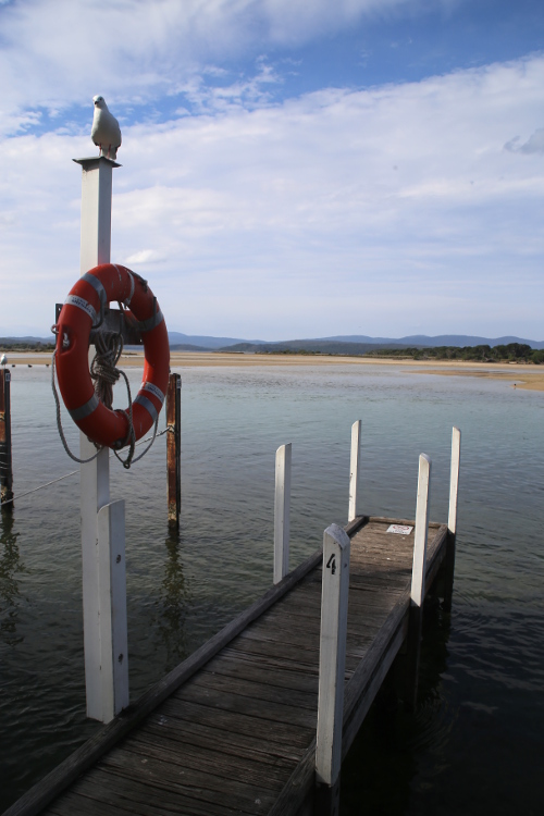 Mallacoota.