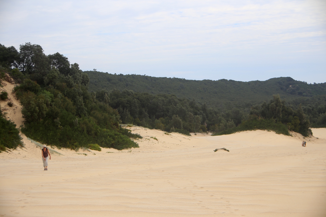 Parc national Croajingolon.
Impressionnantes dunes de sable hautes de 200m, les plus hautes du continent Australien.