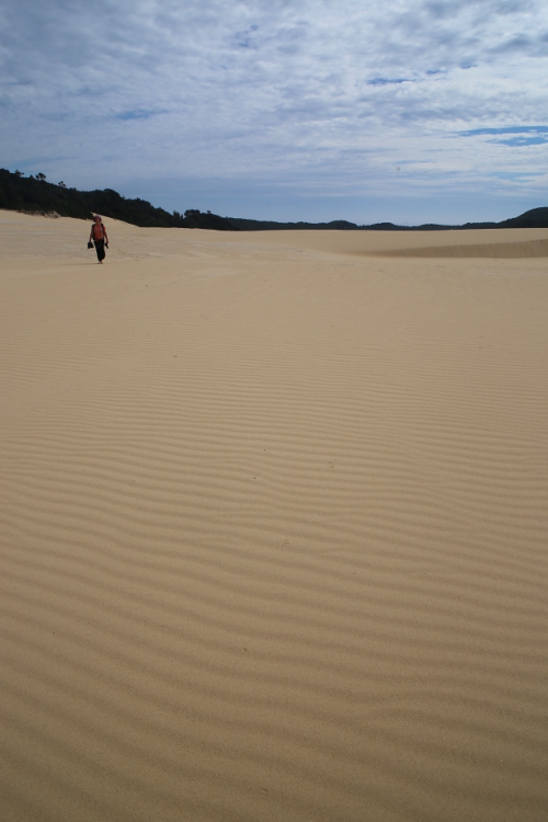 Parc national Croajingolon.
