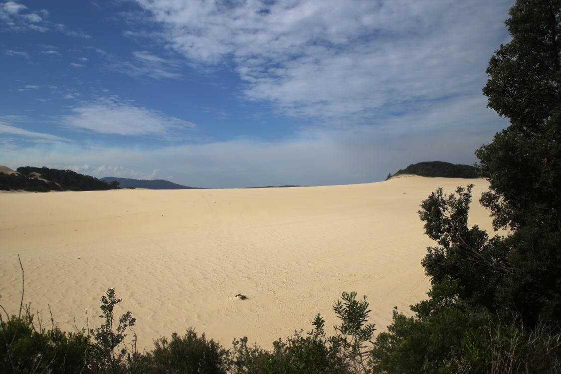Parc national Croajingolon.