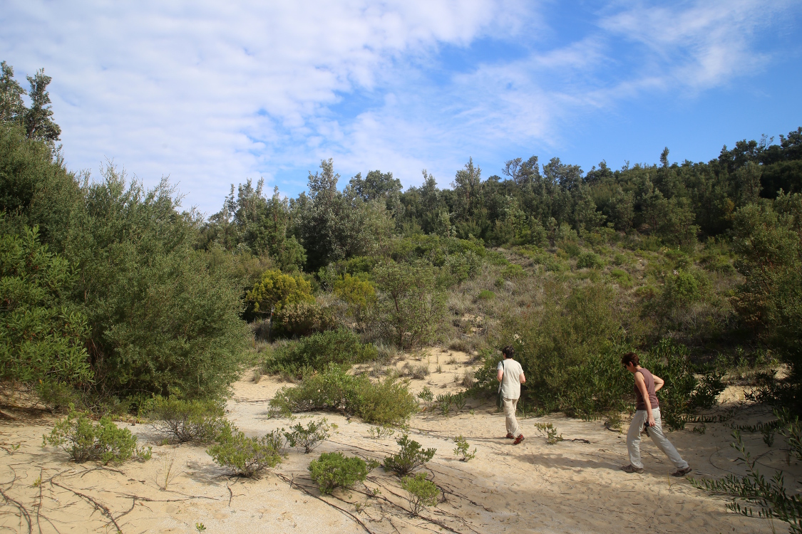 Parc national Croajingolon.