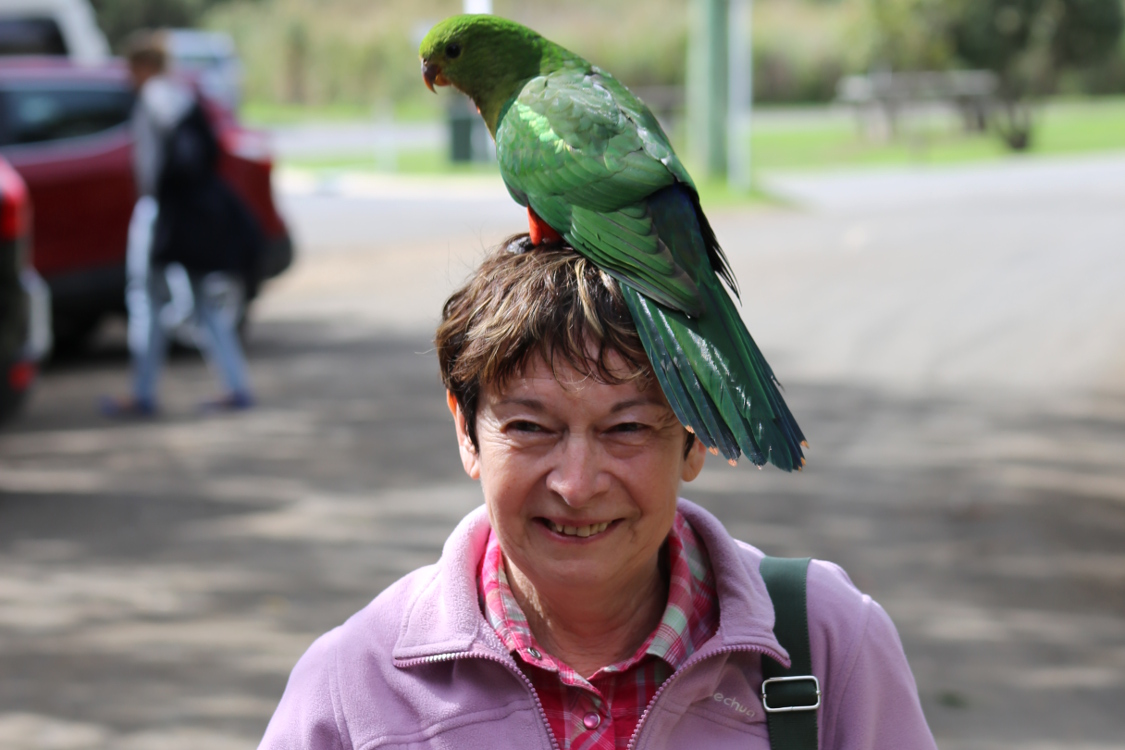 Great Ocean Road.
Kennett river.