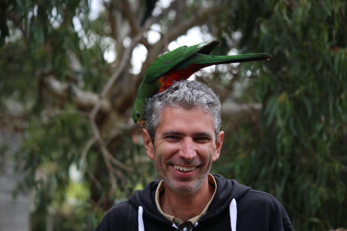 Great Ocean Road.
Kennett river.