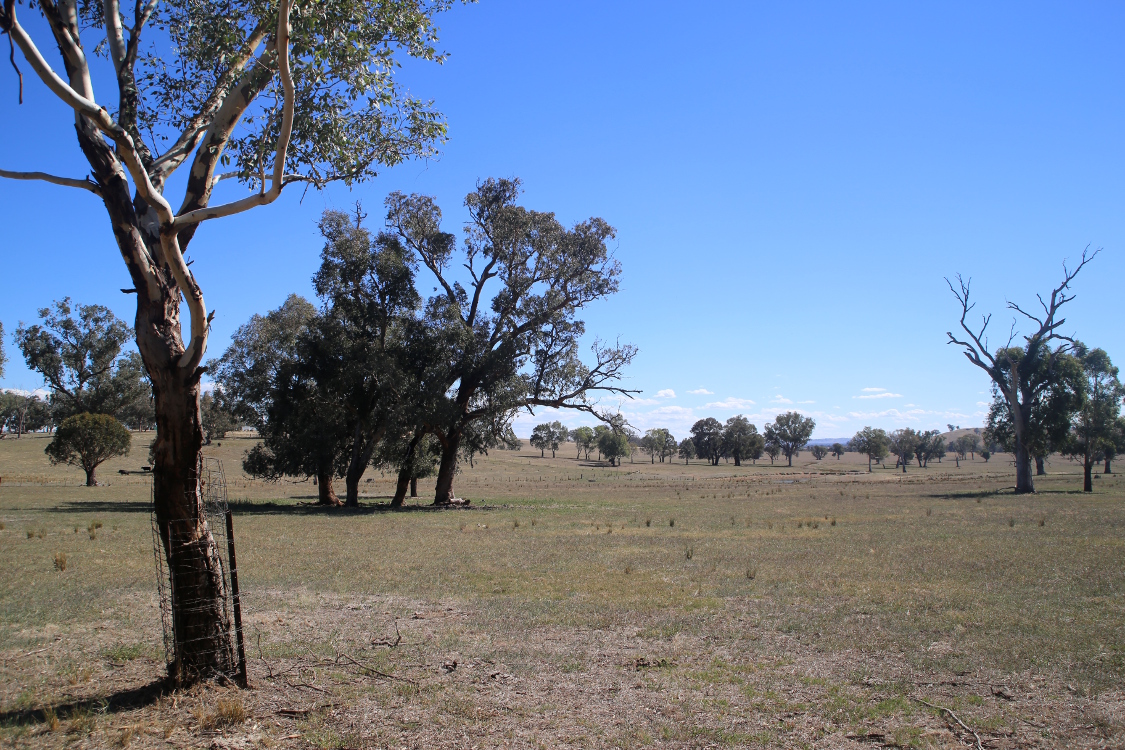 On the road.
Entre Melbourne et Sydney.