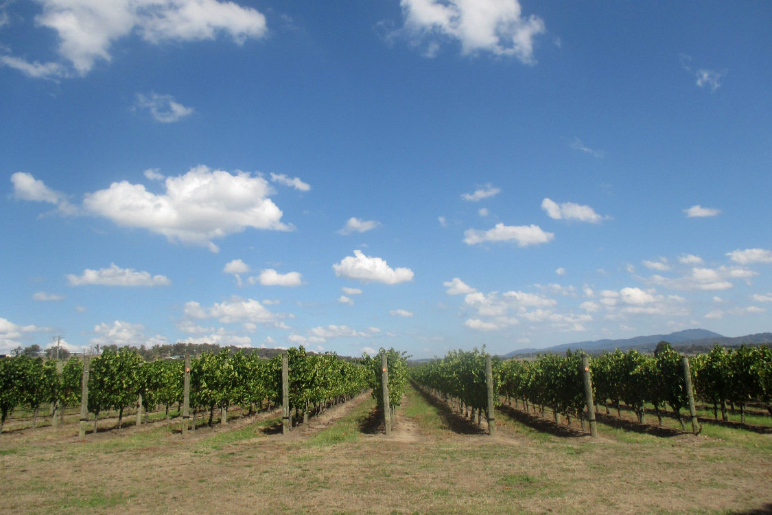 Yarra valley.