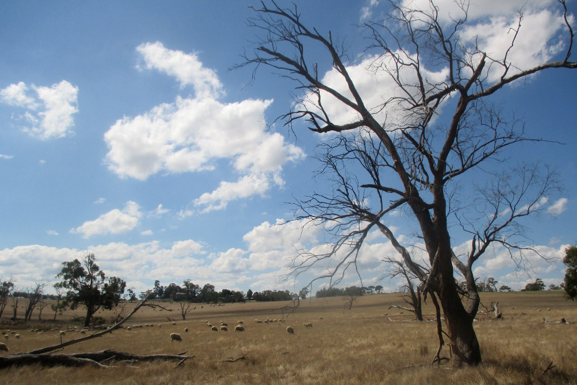 On the road.
Entre Melbourne et Sydney.