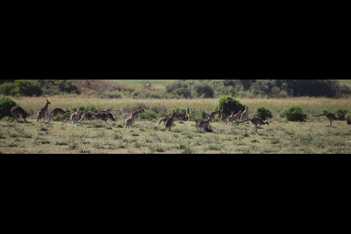 Great Ocean Road.
Princetown.