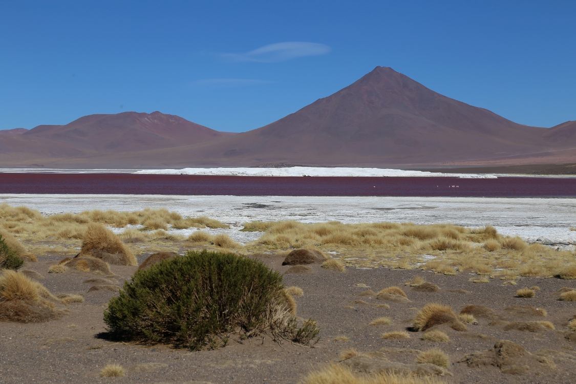Laguna Colorada.
Ce lac salÃ© semble totalement irÃ©el. L'eau est de couleur rouge intense, due Ã  des sÃ©diments de couleur rouge et aux pigments de certaines algues dont les flamants roses raffolent.