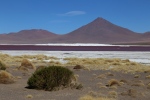 Laguna Colorada.
Ce lac salé semble totalement iréel. L'eau est de couleur rouge intense, due à des sédiments de couleur rouge et aux pigments de certaines algues dont les flamants roses raffolent.