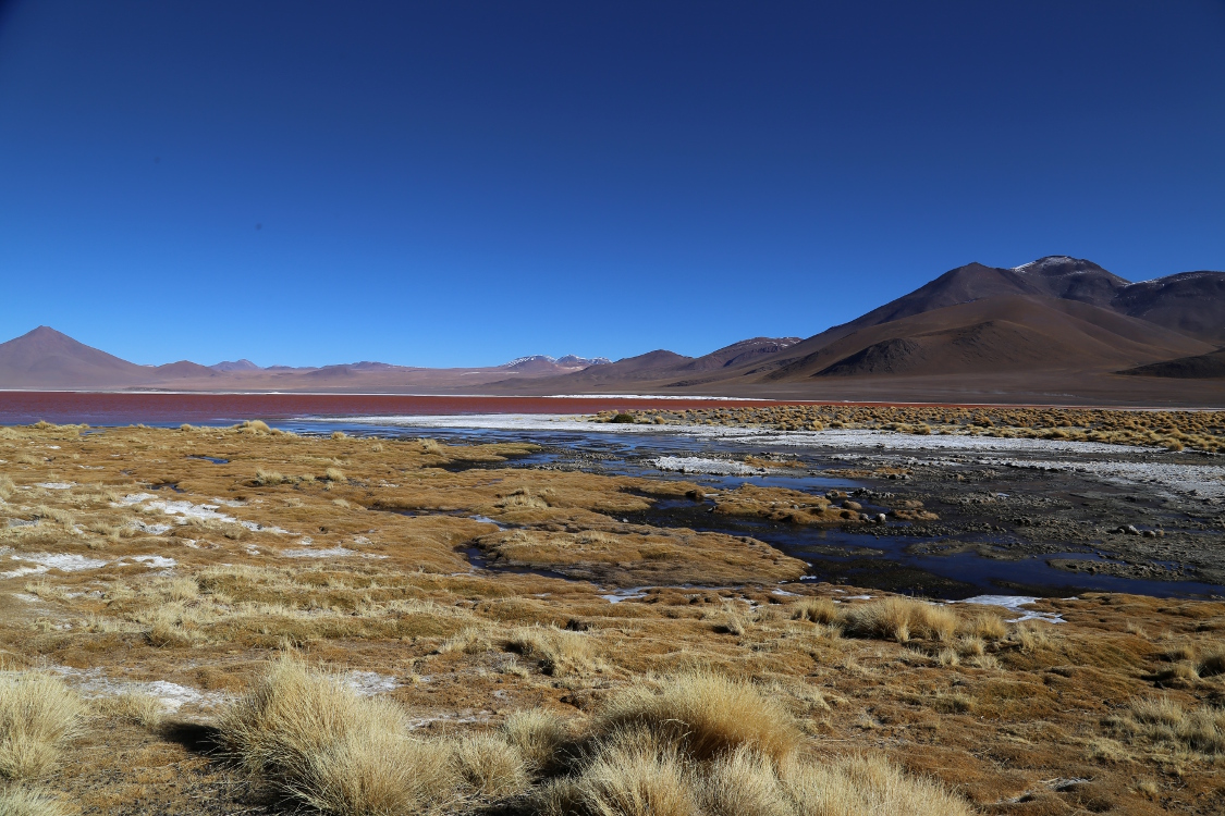 Laguna Colorada.