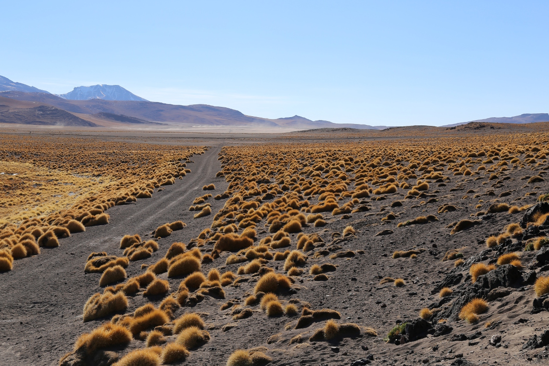 Altiplano.