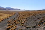 Altiplano.