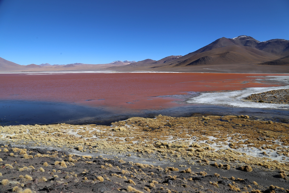 Laguna Colorada.