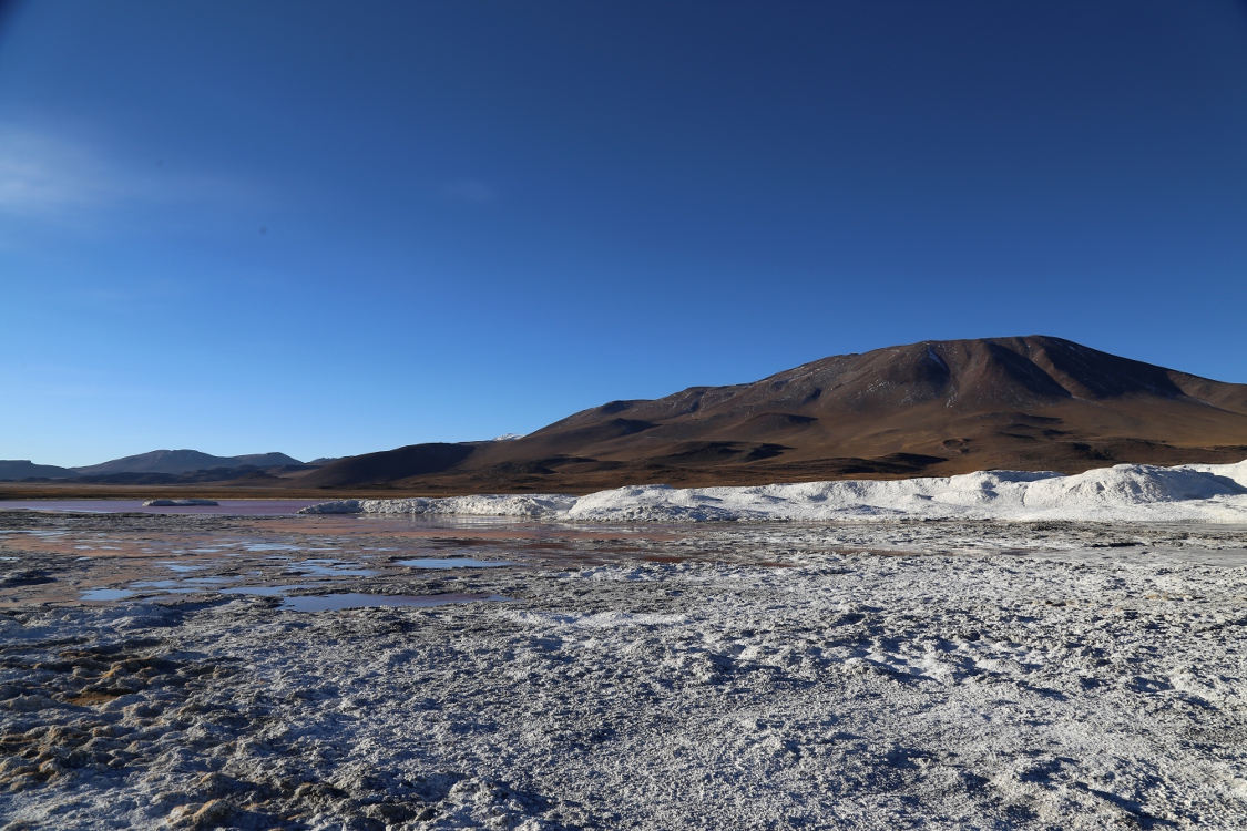 Laguna Colorada.
On trouve sur le lac des Ã®les de Borax, un minerai beaucoup utilisÃ© dans lâ€™industrie du verre.