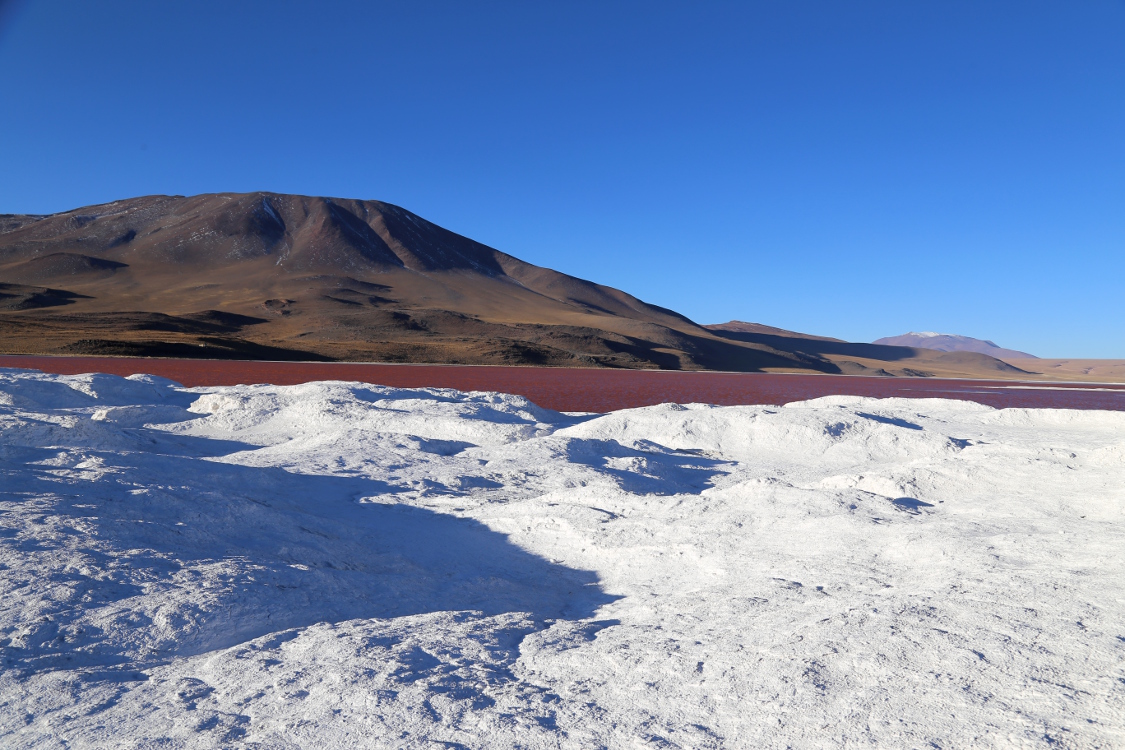 Laguna Colorada, avec l'Ã®le de Borax au premier plan.