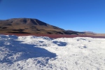 Laguna Colorada, avec l'île de Borax au premier plan.