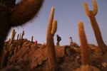 Salar d'Uyuni.
Isla del Pescado.
Lever matinal pour assister au lever du soleil sur le salar d'Uyuni, depuis la Isla del Pescado, une île au milieu du Salar.
Ce Salar est le plus grand au monde.
Il est au centre de toutes les attentions, car il recèle la moitié des réserves de lithium de la planète ...