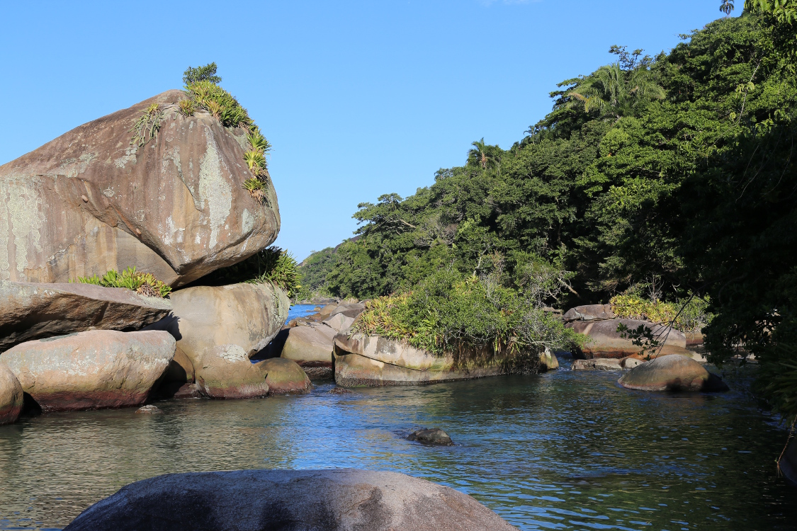 Trindade.
Piscine naturelle.