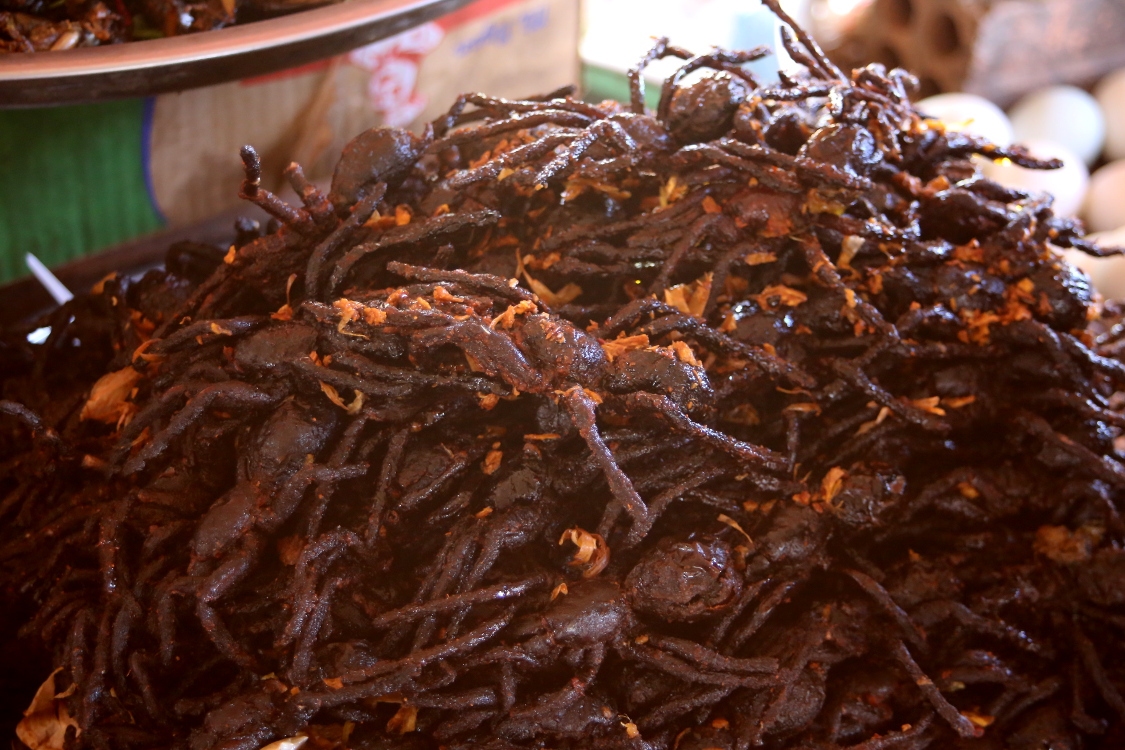 Voyage en bus de Phnom Penh Ã  Siem Reap.
FricassÃ©e de mygales... Bon appÃ©tit!