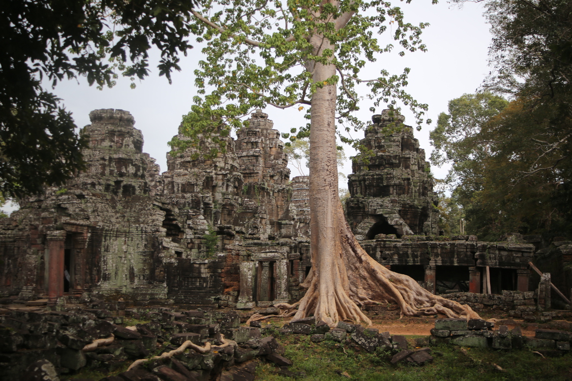 Angkor.
Temple Banteay Kdei.
Vaste monastÃ¨re bouddhique de la fin du XIIÃ¨me siÃ¨cle.