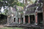 Angkor.
Temple Ta Phrom, le plus magique et mystérieux.
Les films