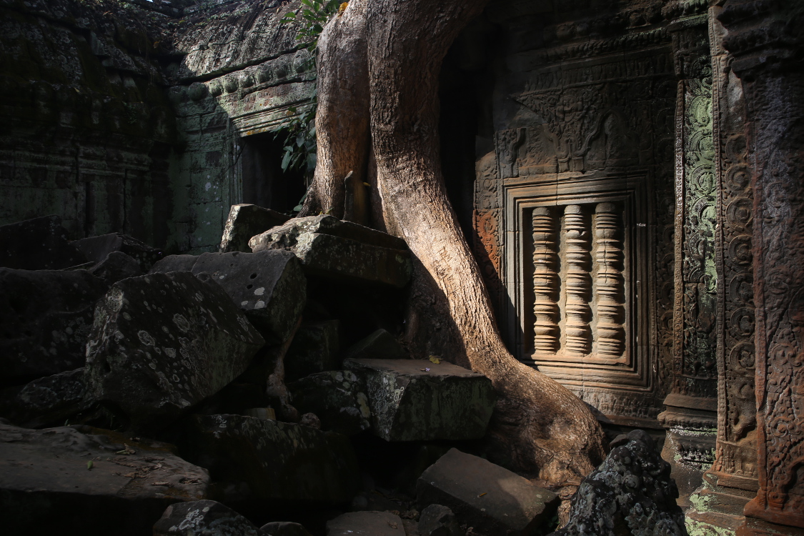 Angkor.
Temple Ta Phrom.