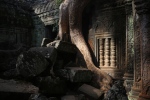 Angkor.
Temple Ta Phrom.