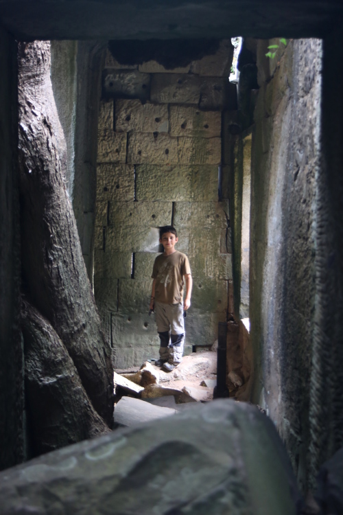 Angkor.
Temple Ta Phrom.