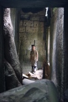 Angkor.
Temple Ta Phrom.
