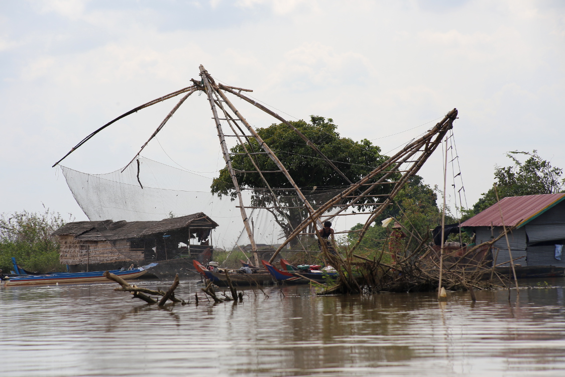 Trajet Siem Reap - Battambang.
On dÃ©couvre plusieurs techniques de pÃªche sur le trajet, et notamment celle-ci qui consiste Ã  plonger dans l'eau un grand filet et attendre que les poissons passent au dessus. Il suffit alors de le relever et de les rÃ©cupÃ©rer dans un panier grÃ¢ce Ã  ce filet en forme d'entonnoir.