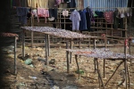 Trajet Siem Reap - Battambang.
Séchage du poisson sur les rives de la rivière.
Il y a de grosses difficultés à gérer les déchets au Cambodge. On a pu le constater tout au long de notre périple dans le pays, même dans les grandes villes. Et on peut en voir un exemple ici.