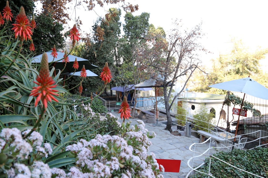 Santiago.
Jardin de la maison Chascona, qui signifie 