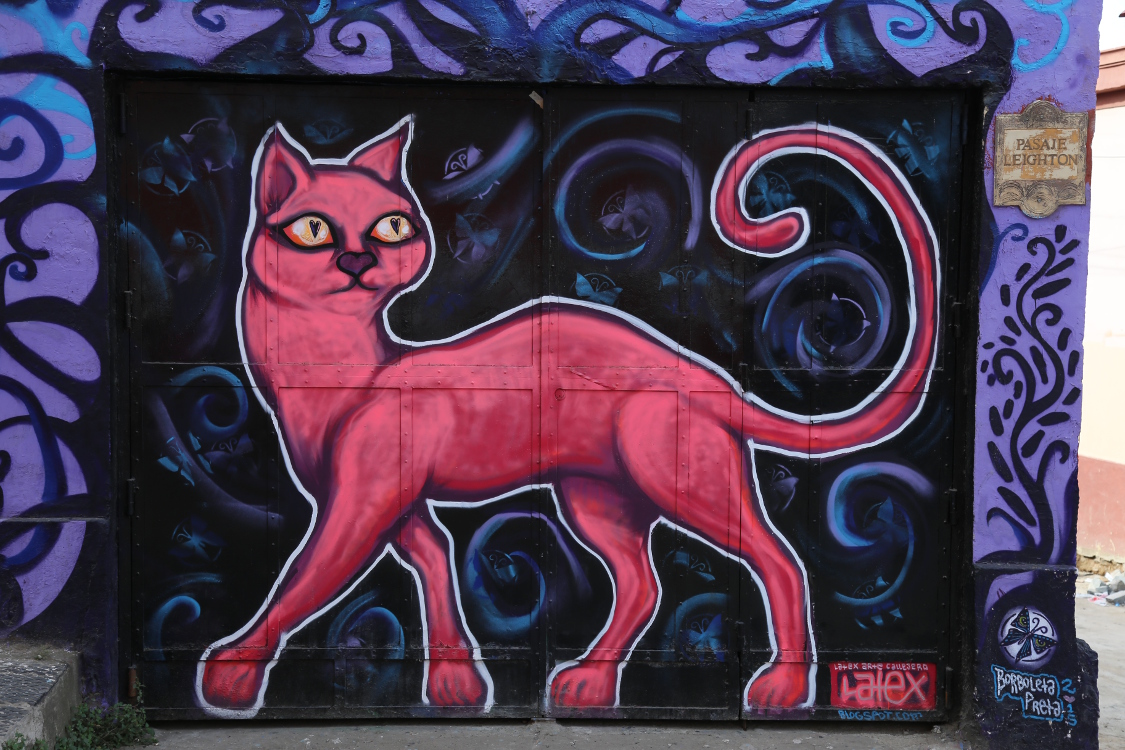 Valparaiso.Magnifique porte de garage !