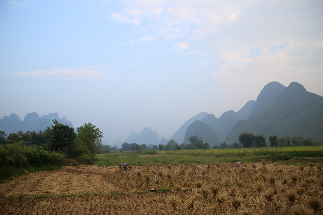 RÃ©gion de Guilin, ses riziÃ¨res et pics karstiques.