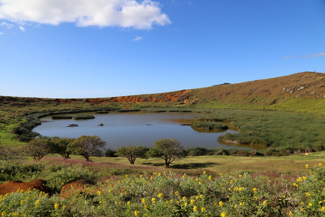 Rano Raraku.
CratÃ¨re du volcan, avec encore des roseaux de totora.