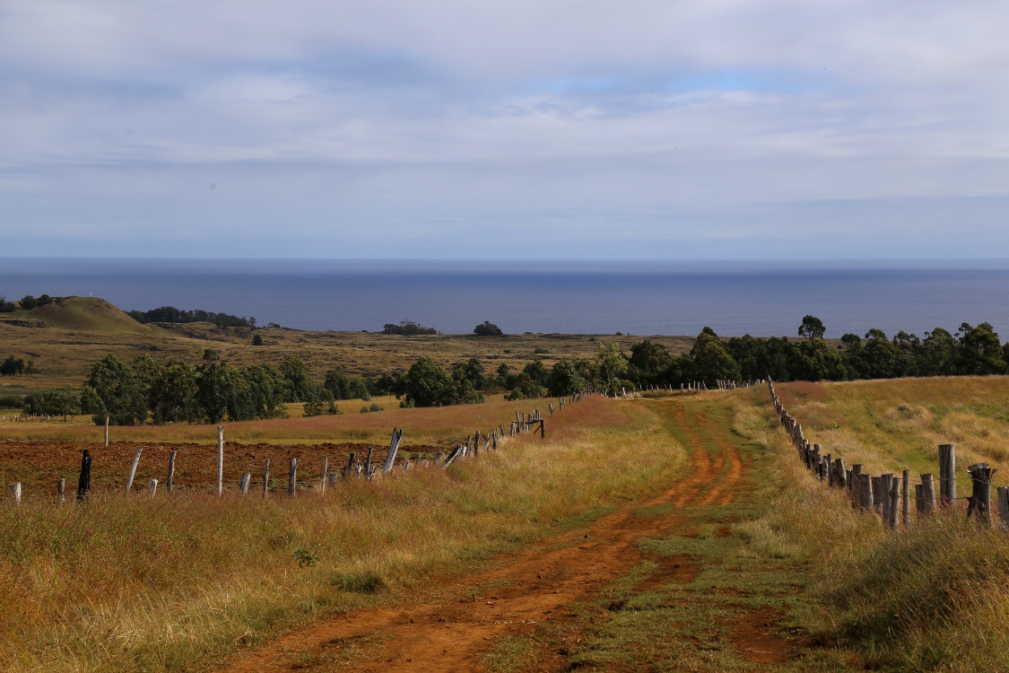 Maunga Terevaka.
On dÃ©marre une belle randonnÃ©e pour atteindre le sommet de l'Ã®le Ã  507m.