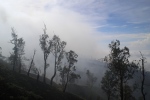 Java. Kawah Ijen.
Au retour, on découvre l'environnement que l'on a traversé de nuit, au milieu des nuages.