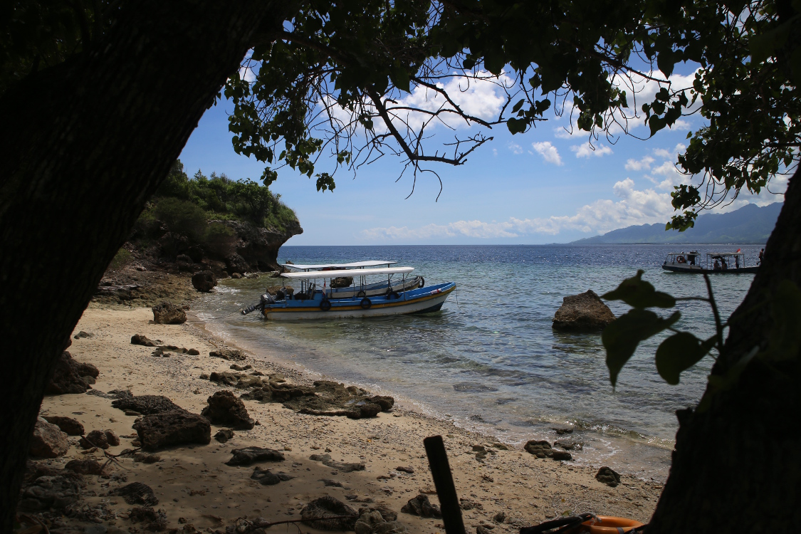Bali. Ile Menjangan.